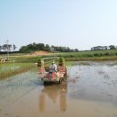 이병수농장 이미지