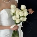 학하서로2 이미지