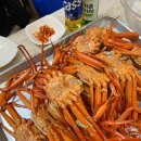 세영수산 | 강릉 홍게 주문진어민수산시장 나영이네 구매 세영수산에서 먹은 내돈내산 후기