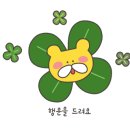 바다놀이터 이미지