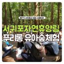 푸리롱 유아숲체험원 이미지