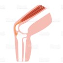 바디웰짐 이미지