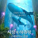 사랑의 하츄핑 이미지