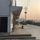디아(DIA) 네이버블로그