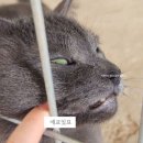 동한목장 네이버블로그