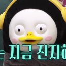 팀그로우 | 그로우팀 메타 광고 대행 후기