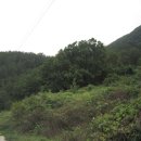 은평로21길 이미지