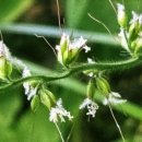 가좌공원 이미지