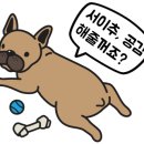 백두산양꼬치구이 이미지