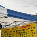 건전지 모임 랜덤여행ㅋㅋ 펜 하나에 휘둘린 무계획 여행 후기