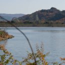 용인시 처인구 포곡면 전대리 삼성 에버랜드 '호암미술관' 호수 이미지