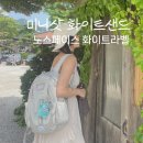 화이트샌드 | 노스페이스화이트라벨 미니샷 화이트샌드 후기 레콘과 집중비교