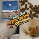 오션팜 | 오픈팜 에이션트 그레인, 흰살생선으로 만든 강아지 사료