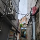 고흥옻닭