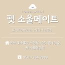 펫 소울 메이트 이미지