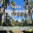 성산경로식당 | 미천굴 광치기해변 | 제주 동쪽 가볼만한 곳 | 제주 성산 애견동반 관광지 추천 | 포토존 입장료 주차...