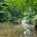 푸른향기펜션2 이미지