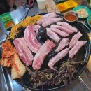 수원-0150 이미지