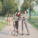 멜로디 세탁소 이미지