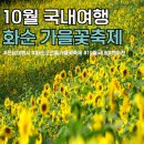 화순고인돌유적지(박씨제각) | 화순 고인돌 가을꽃축제 기본정보 10월 국내여행