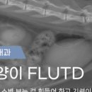 고성동물병원 이미지