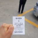 김희선제주몸국 이미지