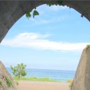 세븐일레븐 동해한섬해변점 이미지