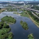 하천(갑천3) 이미지