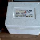 새싹농장 이미지