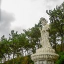 송정수산 Daum카페