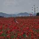 용수골 이미지