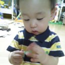 아기천사 Daum카페