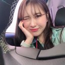 올리앤&나무 이미지