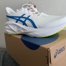 트랙(TRACK) | 아식스 노바블라스트 5 재입고 구매성공 후기 트랙클럽ASICS TRACK CLUB 입문 초보자 러닝화 추천은?