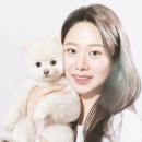 세이렌스튜디오 네이버블로그