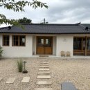 스테이 띠앗 이미지