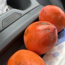 여러가지장터 이미지