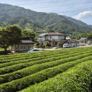 정금마을회관 이미지