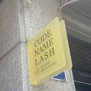 래쉬코드(LASH CODE)