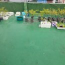 2024-주212 이미지