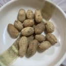 망운로 | 전남 무안 제일 회 식당 수요 미식회에 나왔던 낙지 맛집 낙지비빔밥, 낙지호롱 후기