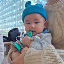 멍필드 | 부천애견동반카페 우다다멍 후기! 멍푸치노 최고:-)