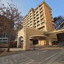 홍천화로구이 | 89. 🐶 반려견 동반 여행지 추천 홍천 소노펫 &amp; 홍천화로구이 솔직 후기🥩