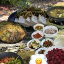 강아지맛집 | 팔공산 맛집 벽암식당 후기｜강아지와 다녀온 한방백숙 오리불고기 식당