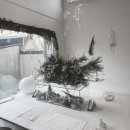 카페글라스하우스(cafe glashaus) | cafe archive - 서울