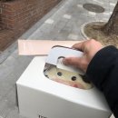 뚜레쥬르상도래미안점 | [뚜레쥬르 신상 케이크] '우유 카라멜이 즐겁소' 내돈내산 솔직후기