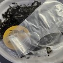 불향기(태장점) | 원주 불향기 본점!직화 막창구이 뼈없는 닭발 1인분 배달 후기