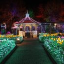 맛나뚝배기 이미지