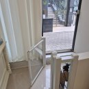 미용할개 | 강남/논현동 애견미용 '몽구구 펫살롱' 후기