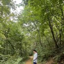 치유의숲필라테스 | [20주차] 30분간의 정밀초음파 결과, 늦여름 휴가, 산전요가